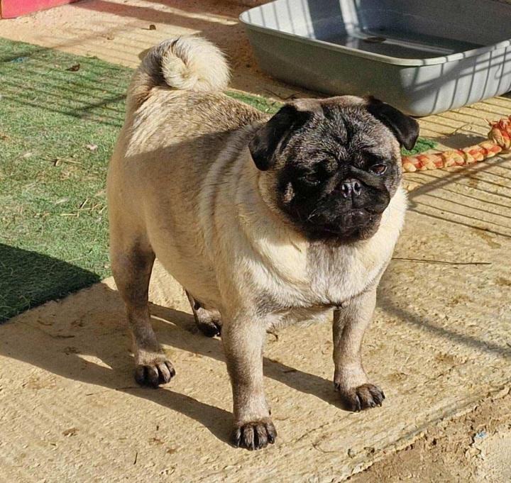 Farming Carlins PACA