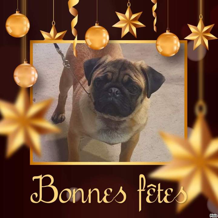 pixiz 25 12 2019 17 50 09